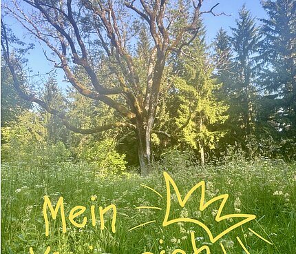 Der Wildwuchs im Schrebergarten